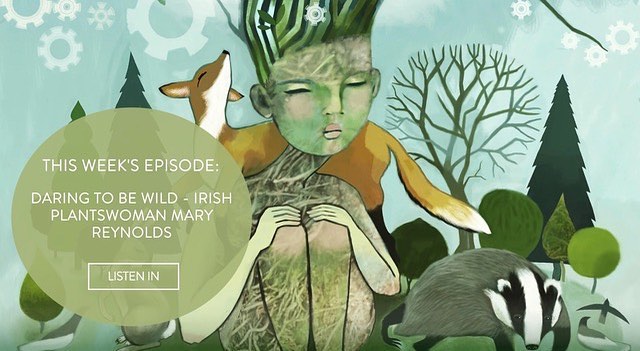 Mary Reynolds Podcast Interview