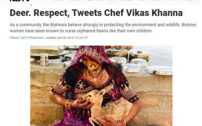 Meet the Bishnois – India’s 1st Tree Protectors
