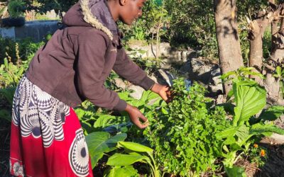 Luwayo ep04 Girl Farmer Trainings 3 Months later